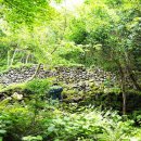 제주 4·3 수악주둔소 이미지