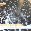 물콩이네 이미지