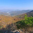 신어산 산림욕장 이미지