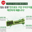 선덴탈 | 그리니즈 티니 오리지널 (내돈내산, 강아지 덴탈껌)