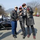 굿맨클럽 Daum카페