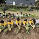 한승어린이집 이미지