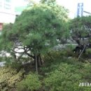오*철 - 안양시 동안구 귀인로80번길 | 오*철