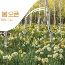 꿈의궁전여관 이미지