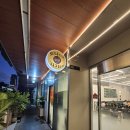 도니조아 이미지