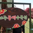 탐라앤골프