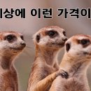 용인이마트 이미지
