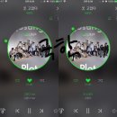 쿱스 Daum카페