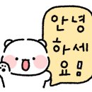 제니스크리닝 이미지