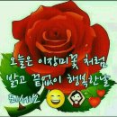 다련