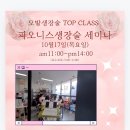 피오케이 이미지
