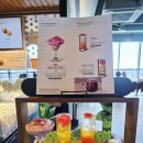 우장산SK뷰(아) | 우리나라 두번째로 높은 스타벅스 광교 호수공원 뷰 카페 스타벅스 광교 41층 내돈내산 후기