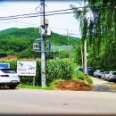 성하축산 Daum카페