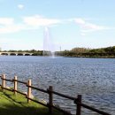 일산호수공원 이미지