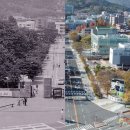 순천대학교 이미지