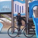 낙타스 이미지