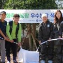 비석농장 이미지