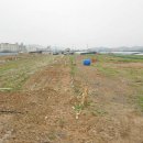 창녕부동산공인중개사사무소 이미지