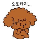 신원해물찜 이미지