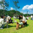 강아지 숲 이미지