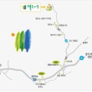 더큰나무 이미지