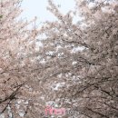 성산 세천 이미지