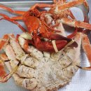 기장시장대게 이미지