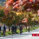 달리는 자전거