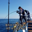 현참치 이미지