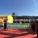 고흥유자향 이미지