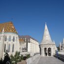 용모 농장 이미지