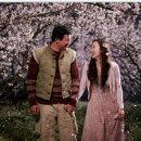 너는내운명 이미지