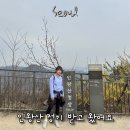 청운공원 | 인왕산 초보 등산 코스 경복국역 출발 인왕산 정상 청운공원까지