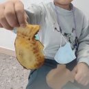 해가빛어린이집 이미지