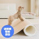 펫바이블 이미지