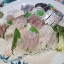 맛객미식쇼 | [부천 신중동역 맛집] 소금김밥, 모둠회가 찐이었던 이자카야 "맛객미식쇼" 내돈내산 후기