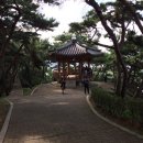 만중주