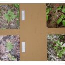 한서농장 이미지