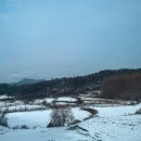 세종서점 이미지