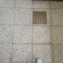 옴뿌리산근린공원 농구장 | day8 ) 자체휴강으로 시작한 하루는 신나요