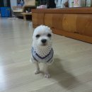 넌나의가족 이미지