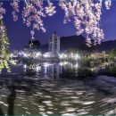 영산 연지못 이미지