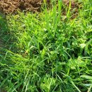 나훈아노래방 이미지