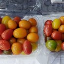 천지 당구장 이미지