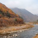 평창 이미지