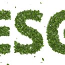 마운틴솔루션 이미지