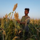 두라농장 이미지