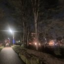 마가리타1585 이미지