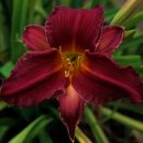 꽃향기 머무는 곳 이미지