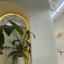 내 손안의 하모니카 : 중급 | 폴 중급 실패기_(인줄 알았지만 성공한) 크로스픽스, 체스트 홀드, 숄더디스마운트